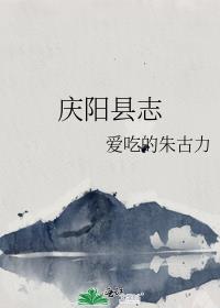 庆阳县志1993年出版
